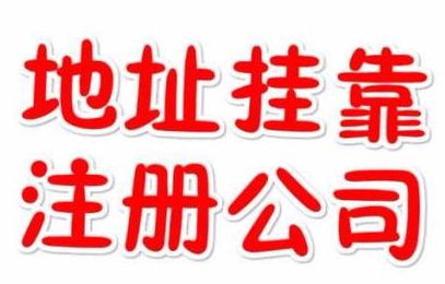 代理記賬一年800元，記賬會(huì)計(jì)代理